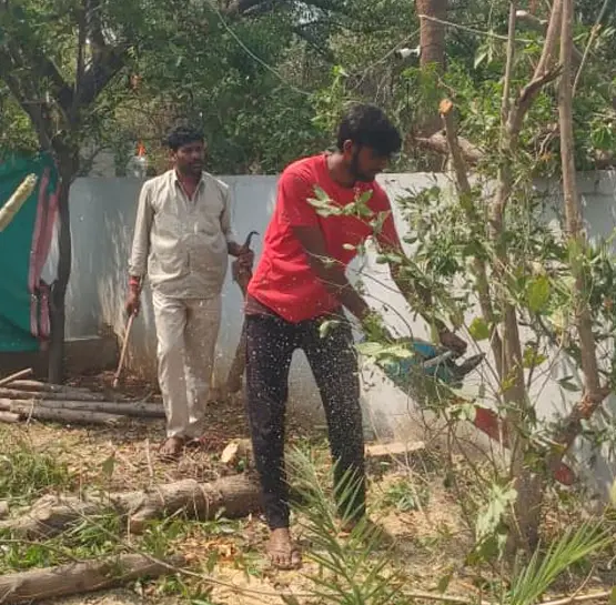 Commercial Tree Trimming Services in Hyderabad