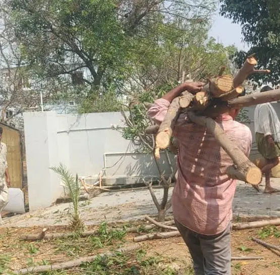 Emergency Tree Removal in Hyderabad