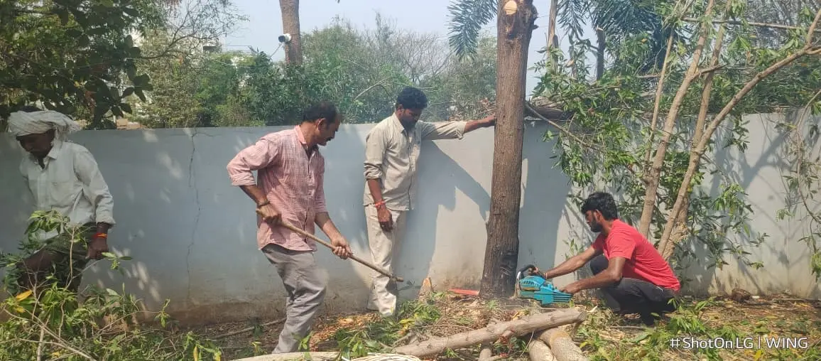 Tree Cutting Work at Residential Property