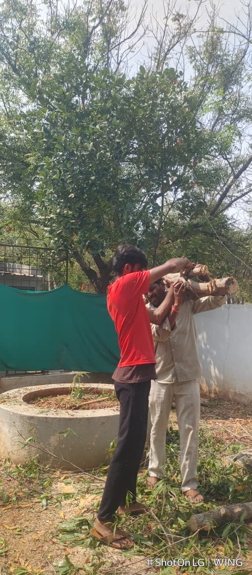 Tree Trimming Service in Telangana