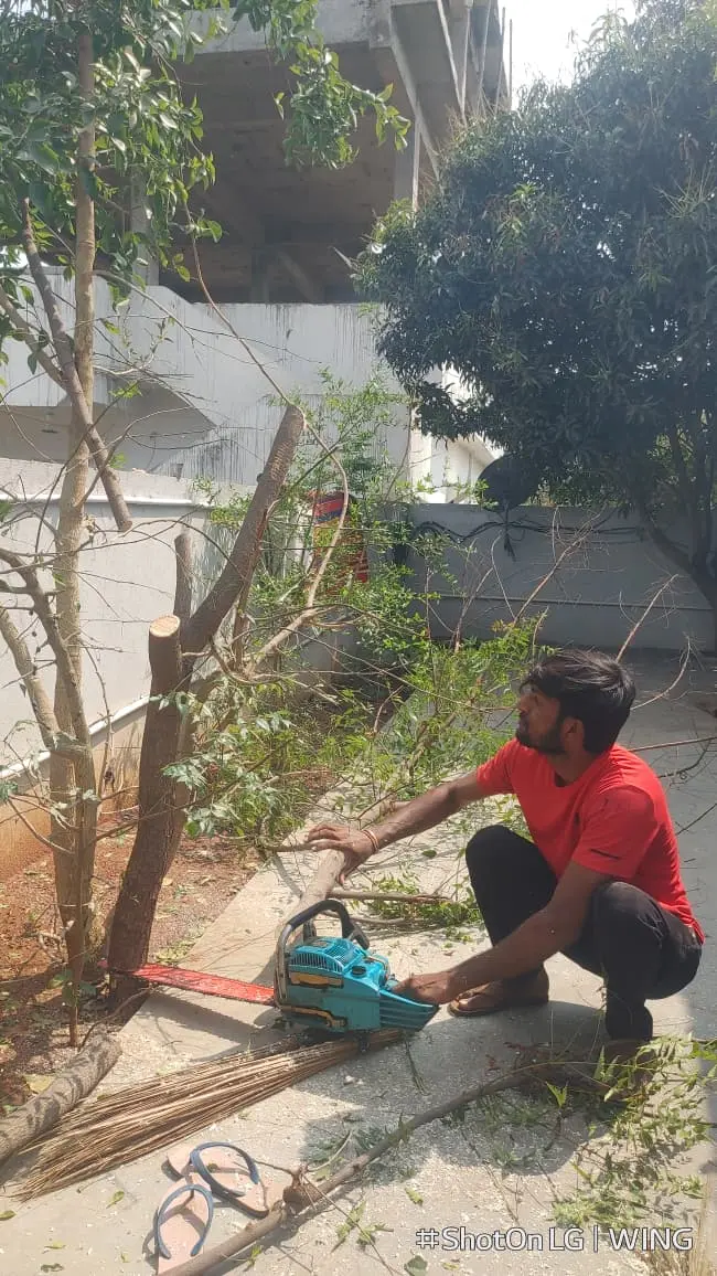 Tree Trimming Work in Gated Community