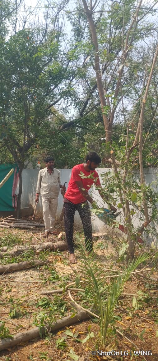 Tree Cutting Work in Hyderabad