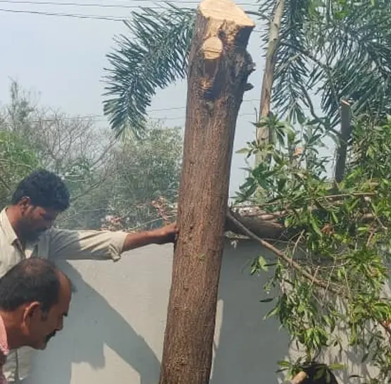 Stump Grinding Service in Hyderabad