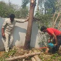 Contact and Site Inspection for Tree Services